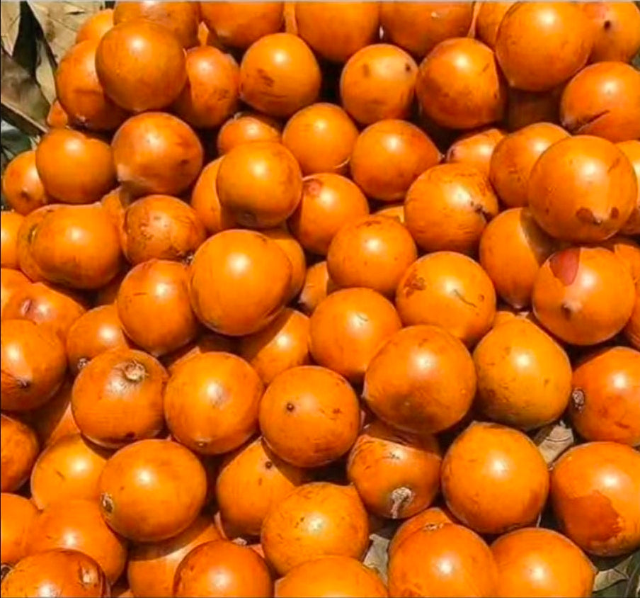 SWEET AGBALOMO/CHERRY/ UDARA ( AFRICAN STAR APPLE) A DOZEN