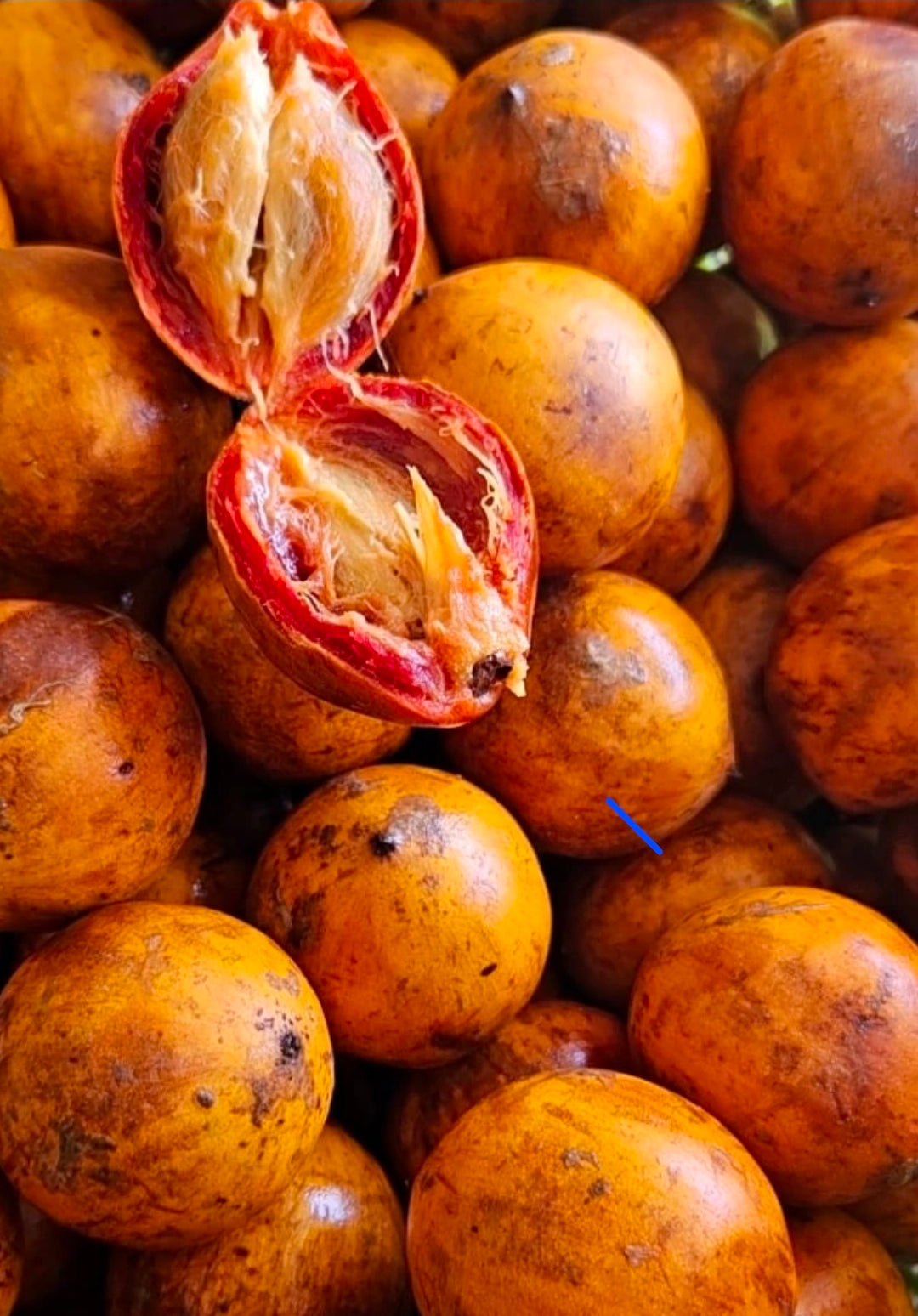 SWEET AGBALOMO/CHERRY/ UDARA ( AFRICAN STAR APPLE) A DOZEN