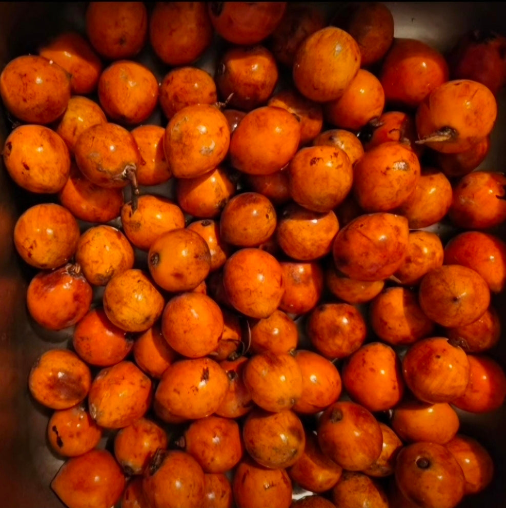 SWEET AGBALOMO/CHERRY/ UDARA ( AFRICAN STAR APPLE) A DOZEN