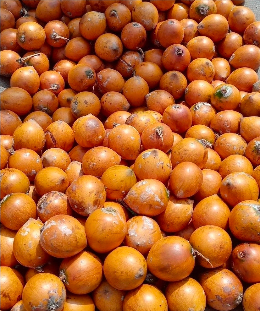 SWEET AGBALOMO/CHERRY/ UDARA ( AFRICAN STAR APPLE) A DOZEN