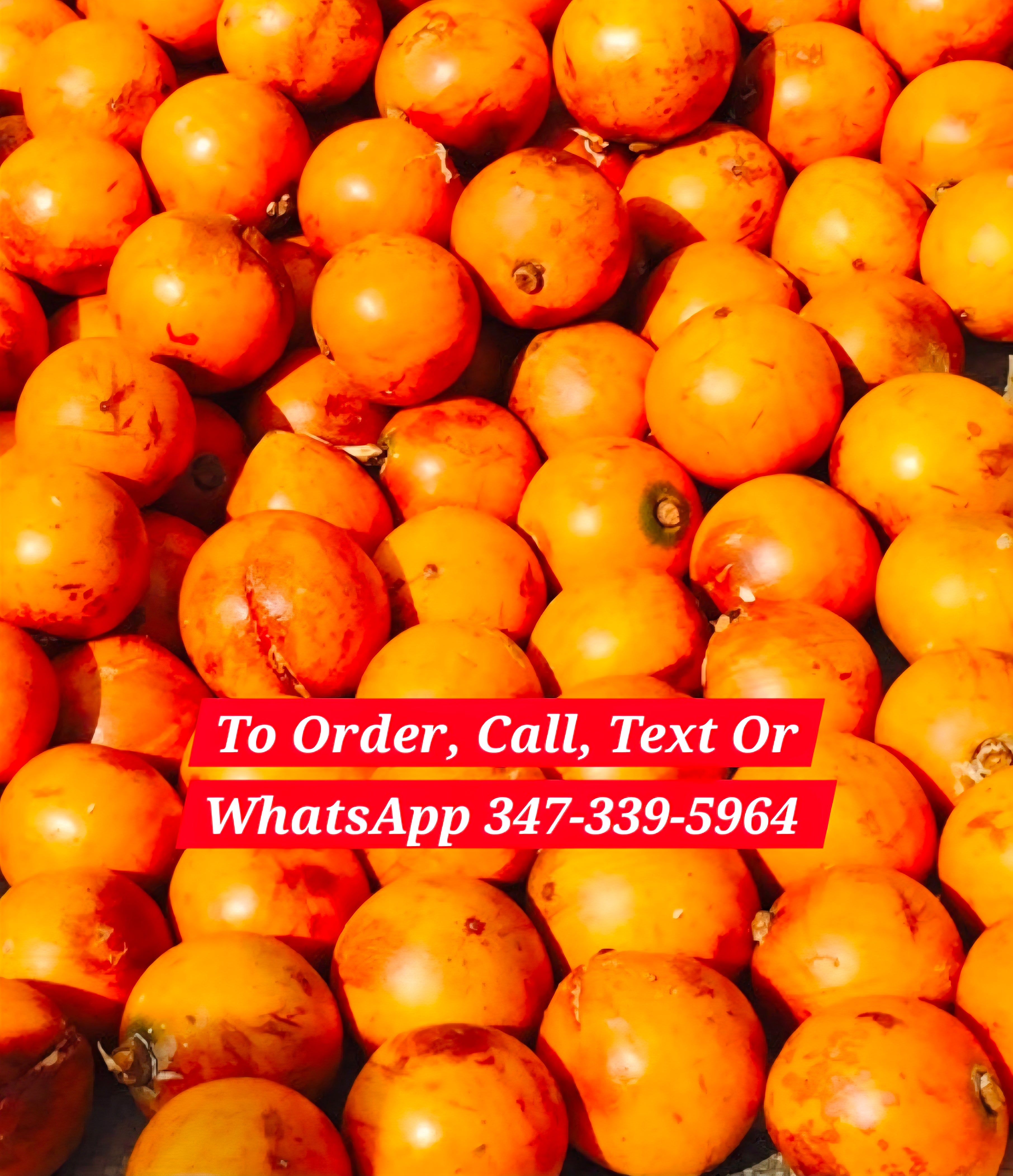 SWEET AGBALOMO/CHERRY/ UDARA ( AFRICAN STAR APPLE) A DOZEN
